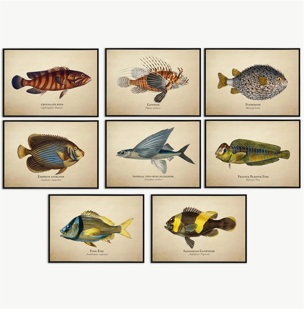 Marine Life Aquariums - Tableaux et Peintures sur Toile d'Art
