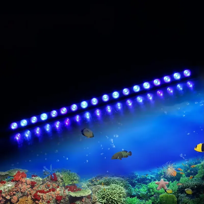 Marine Aquarium Hours - Lumière LED pour aquarium marin à