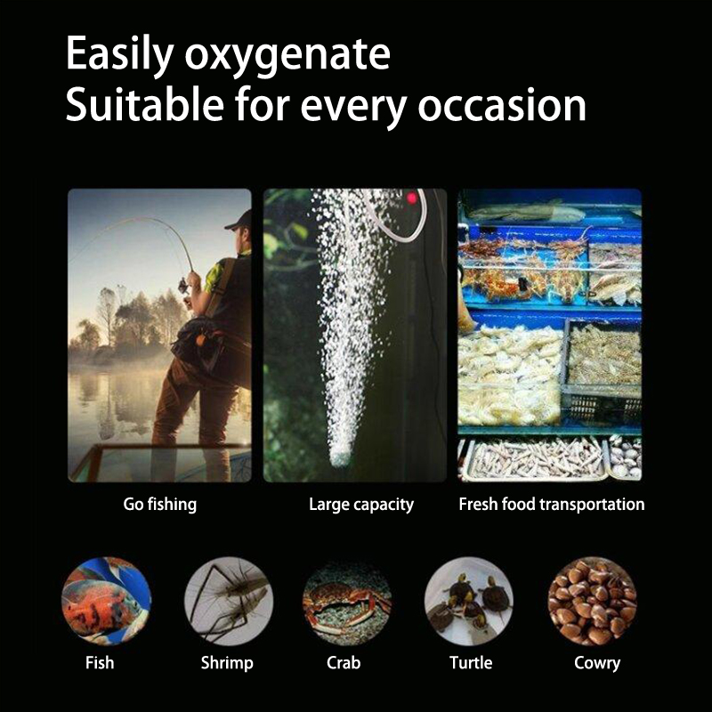 Kit de mini pompe à oxygène po - Aquarium Marine Stone avis et prix