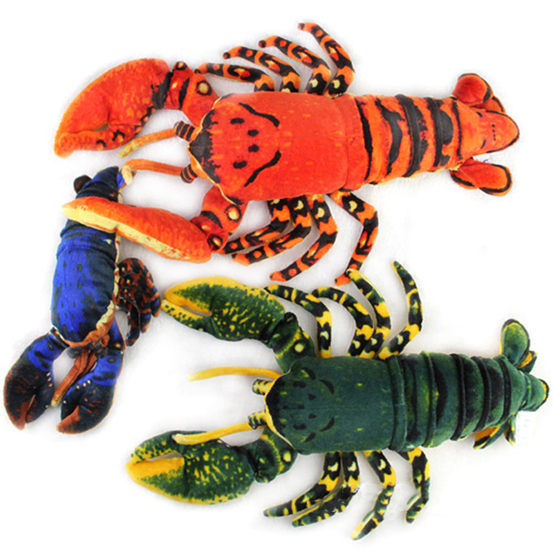 Jouet en peluche de parc marin - Aquarium Marine Park avis et prix
