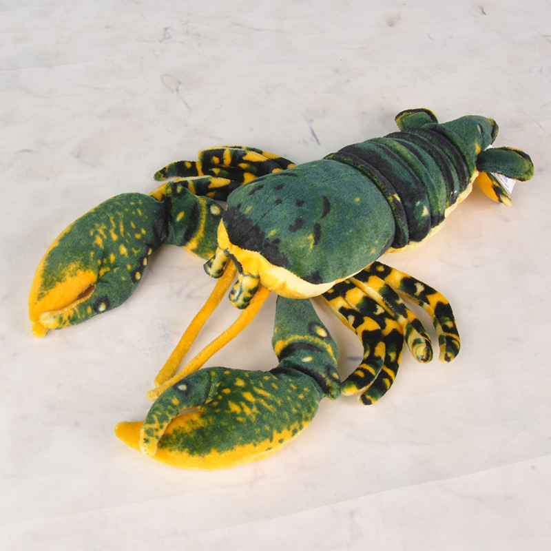 Jouet en peluche de parc marin - Aquarium Marine Park avis et prix
