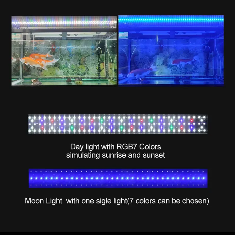 Éclairage d'aquarium SIROKA de - Marine Aquarium Hours avis et prix