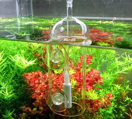 VIV Do-Dispositif d'Intervalle - Aquarium Marine Stone avis et prix