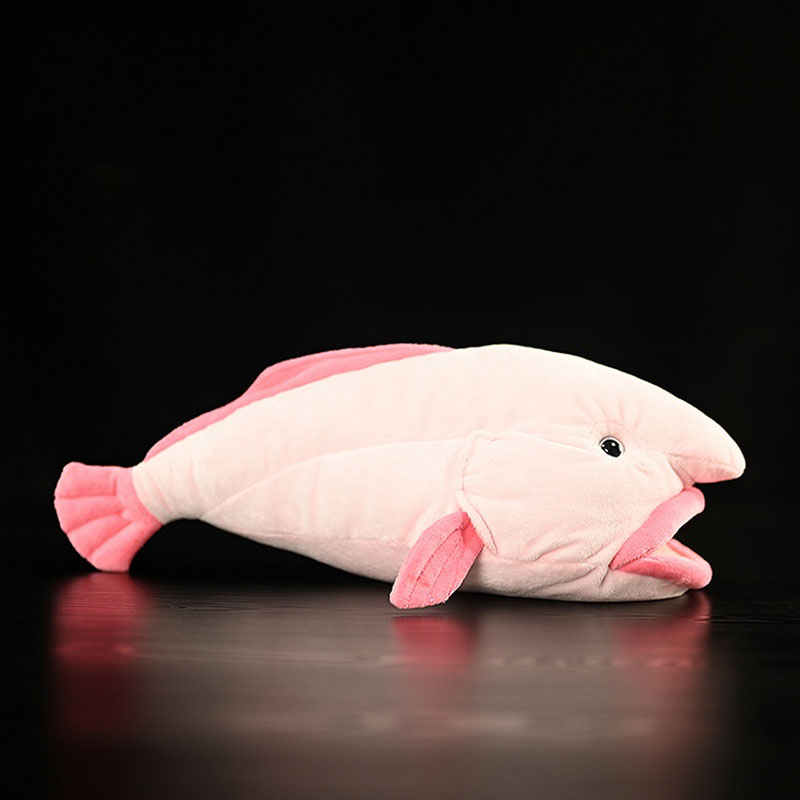 Simulé Animal Blobfish mer océ - Aquarium Marine Park avis et prix