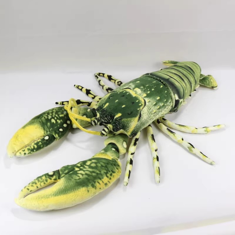 Simulation d'animal australien - Aquarium Marine Park avis et prix