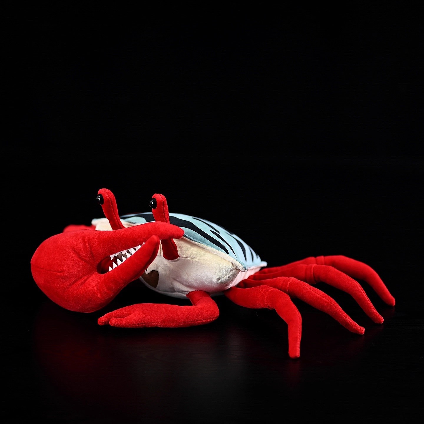 Griffe rouge Fiddler crabe mer - Aquarium Marine Park avis et prix