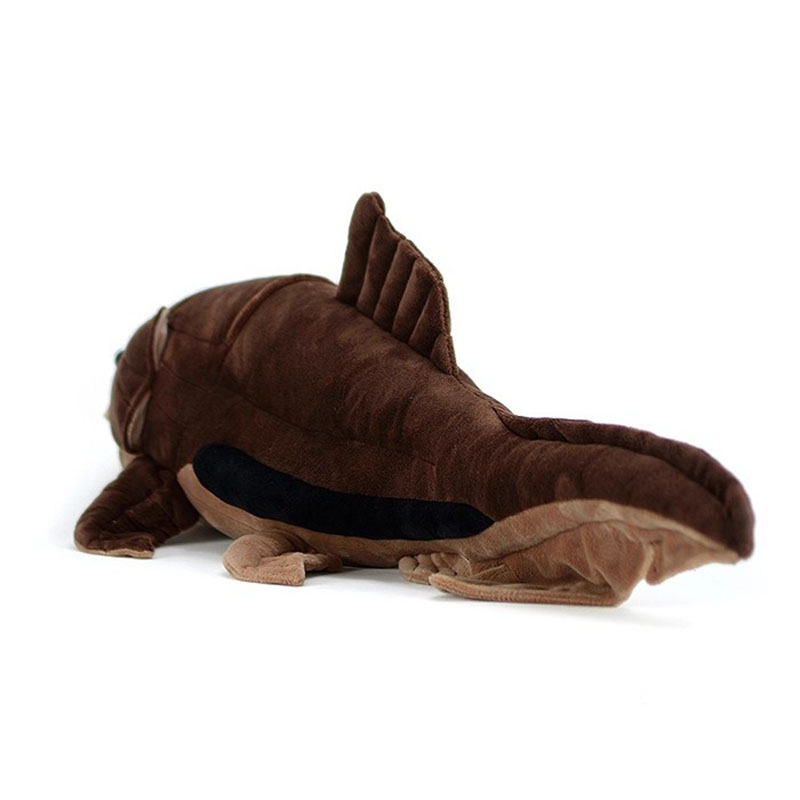 Dunkleosteus terrelli Dunkle p - Aquarium Marine Park avis et prix