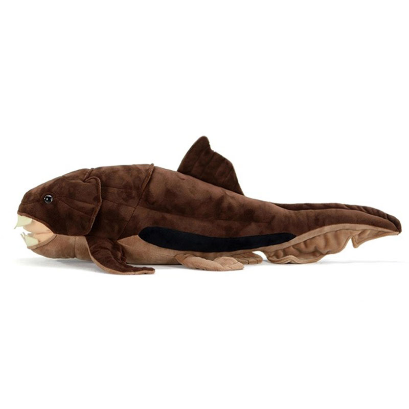 Dunkleosteus terrelli Dunkle p - Aquarium Marine Park avis et prix