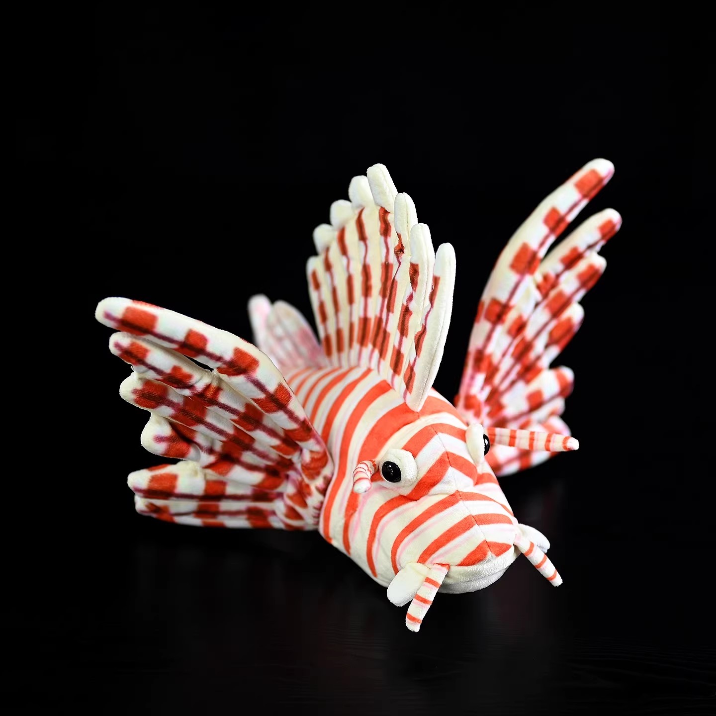 Pterois volitans corail récif  - Aquarium Marine Park avis et prix