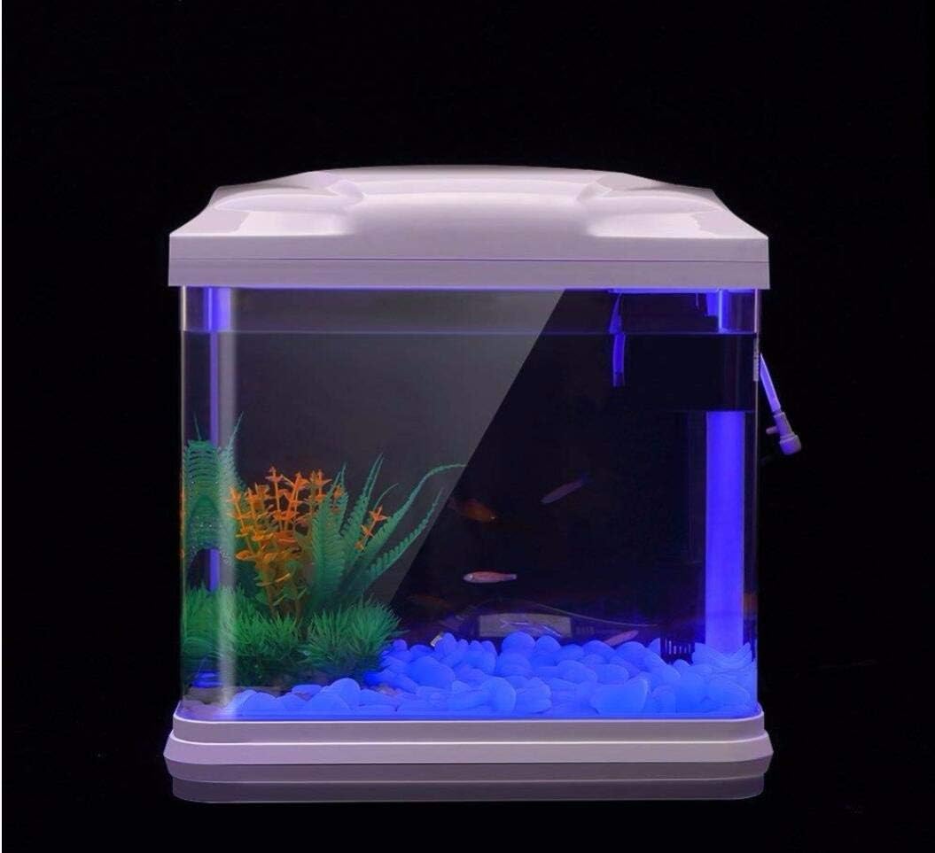 Roches d'aquarium scintillante - Aquarium Marine Stone avis et prix