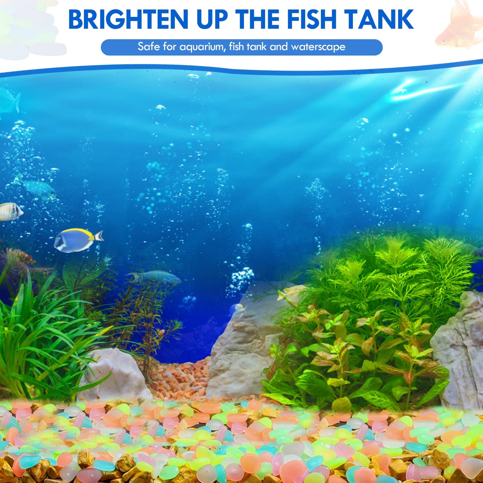100 pièces brillent dans le no - Aquarium Marine Stone avis et prix